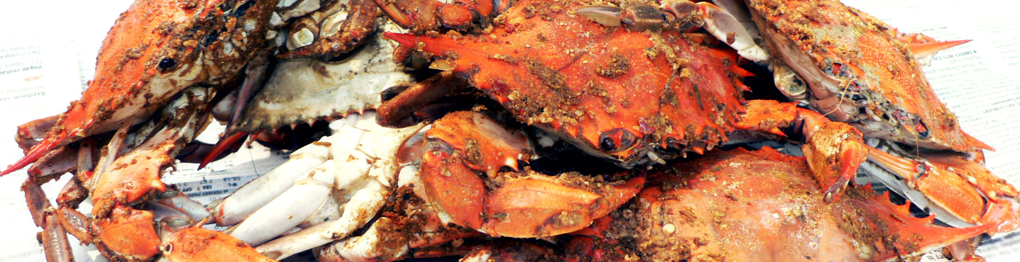 Hard Shell Crabs